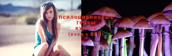 трава Верхнеуральск