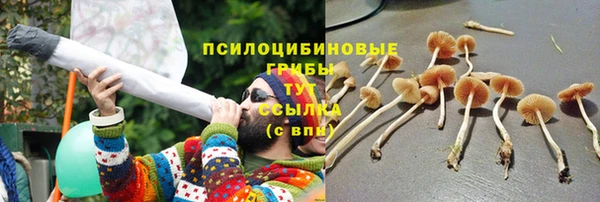 трава Верхнеуральск